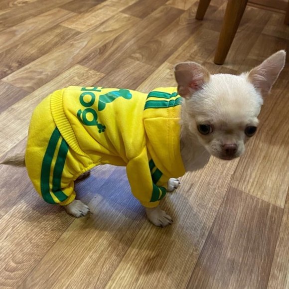 Dog Clothes, Hoodies Sweatshirt, Clothes for Small Dogs - Picture 2 of 4